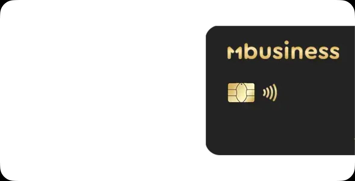 Visa Business